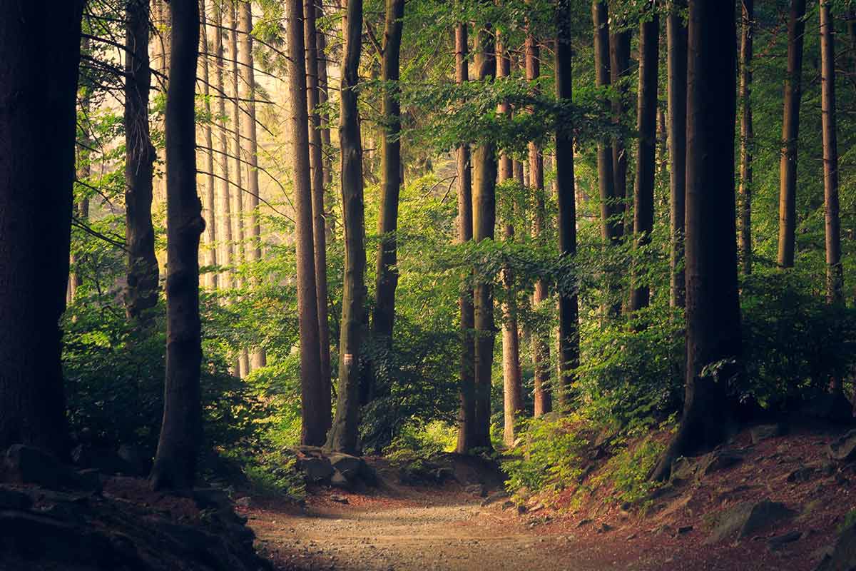 Republic Grand Ranch The Next Great Acreage Community