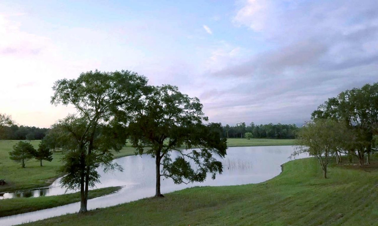 Patten Properties Announces the Next Great Acreage Community in Texas