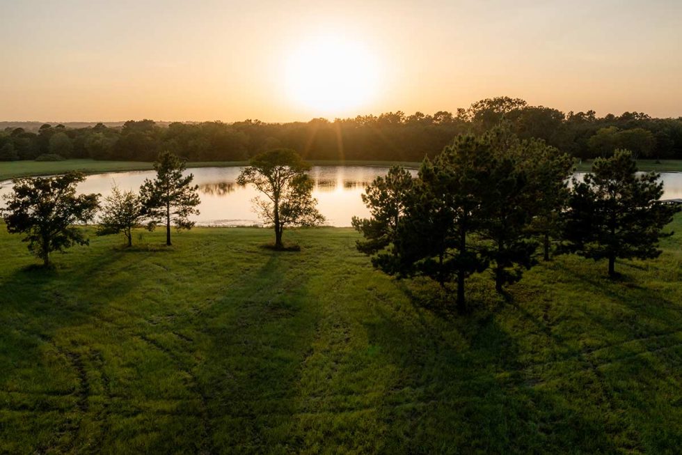 High Elevation Land for Sale in Texas Republic Grand Ranch