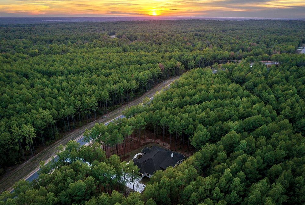 “Where The Forest Meets Luxury.” – 4 to 10 Acre Secluded Homesites Now Available