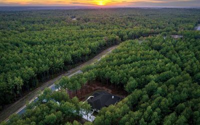 “Where The Forest Meets Luxury.” – 4 to 10 Acre Secluded Homesites Now Available