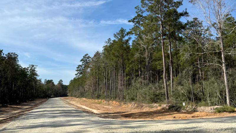 Where the Forest Meets Luxury, Republic Grand Ranch