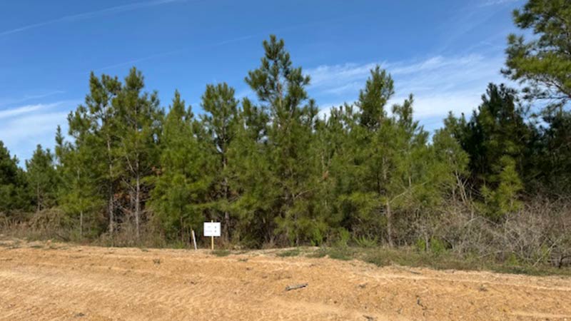 Where the Forest Meets Luxury, Republic Grand Ranch