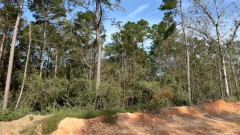 Featured Lots Republic Grand Ranch