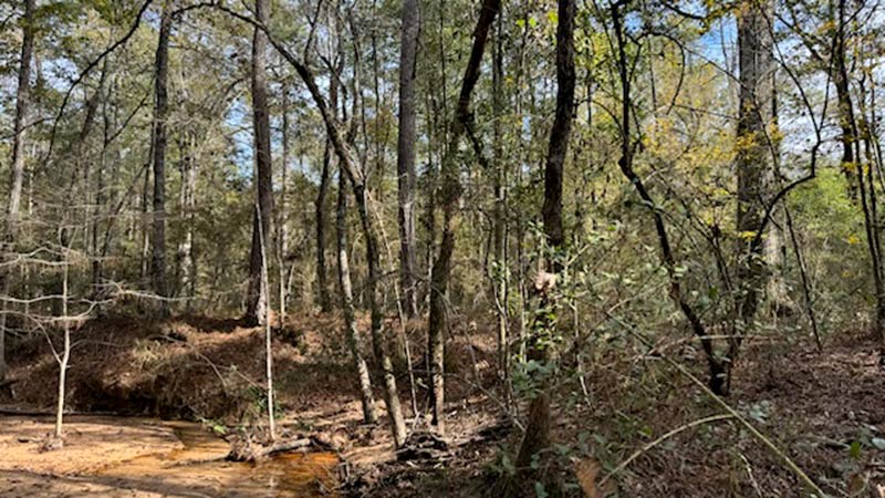 Where the Forest Meets Luxury, Republic Grand Ranch