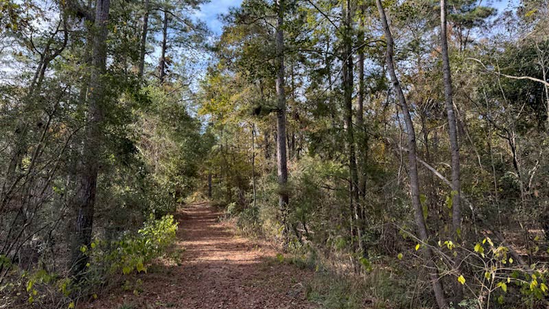 Where the Forest Meets Luxury, Republic Grand Ranch