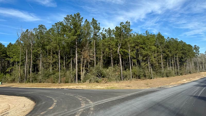 Where the Forest Meets Luxury, Republic Grand Ranch