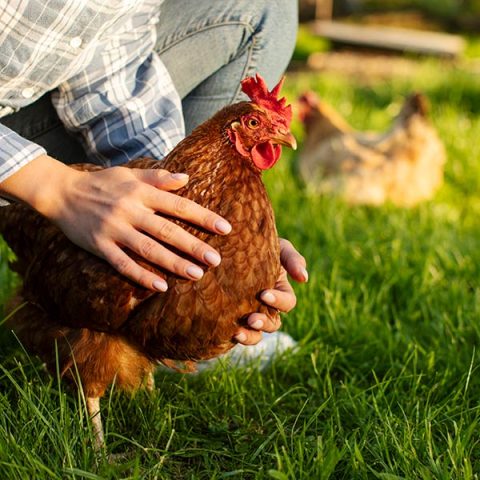 Living With the Land Republic Grand Ranch