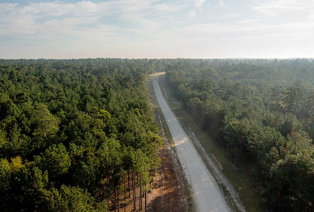 What to Look For Before You Buy: A Guide to Acreage Communities Near Houston