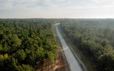 What to Look For Before You Buy: A Guide to Acreage Communities Near Houston